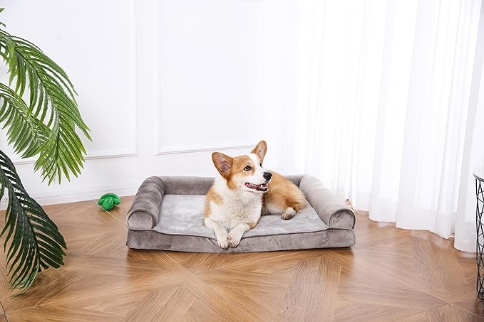 Foam Dog Pet Bed, Large Foam Dog Pet Bed, Large